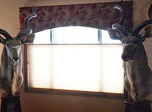 Duette Cellular Shades - To-down/Bottom-up